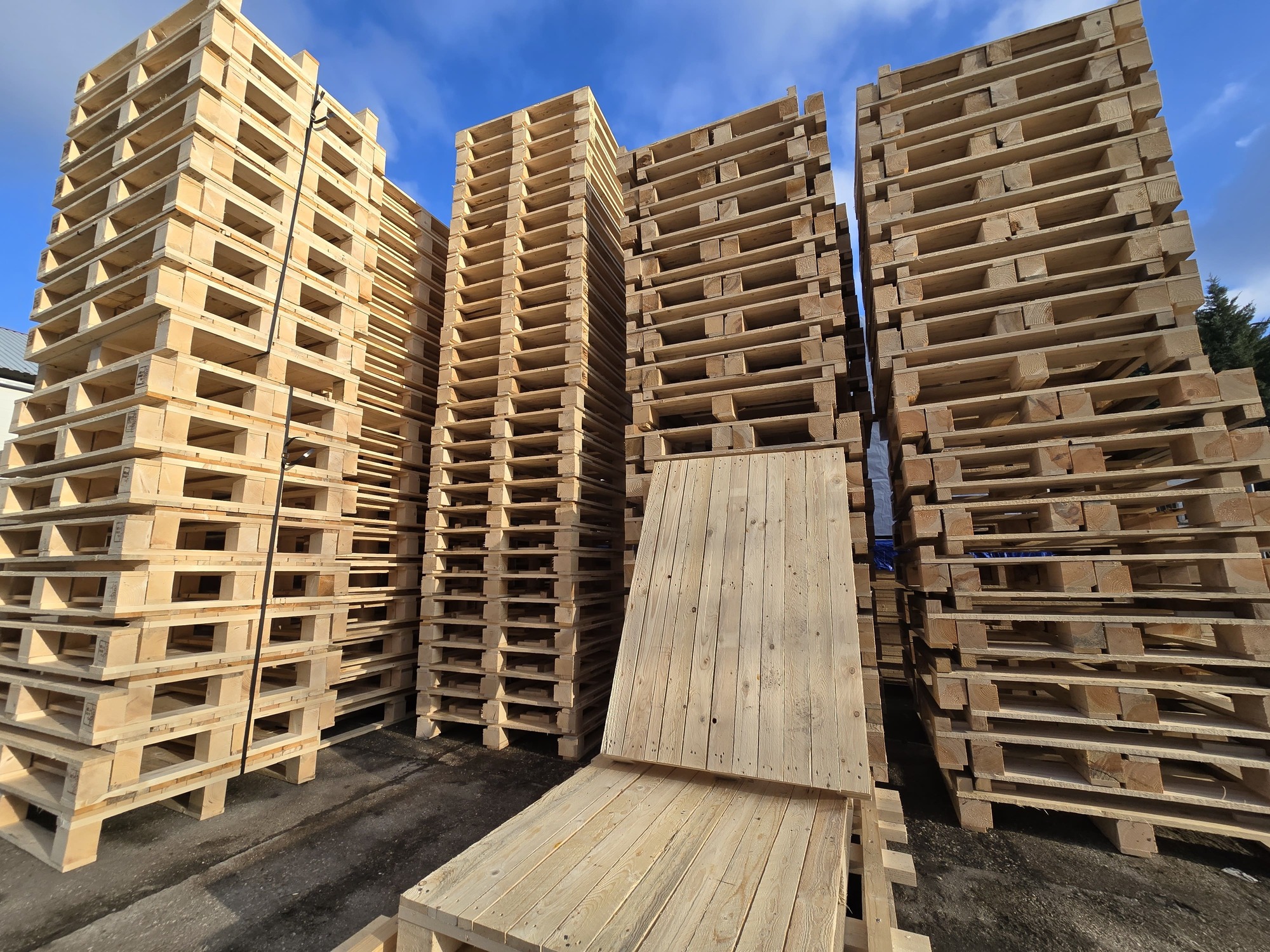 Egyedi és szabvány raklapmegoldások vállalkozásoknak